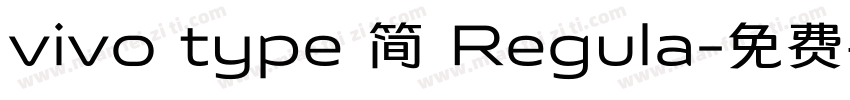 vivo type 简 Regula字体转换